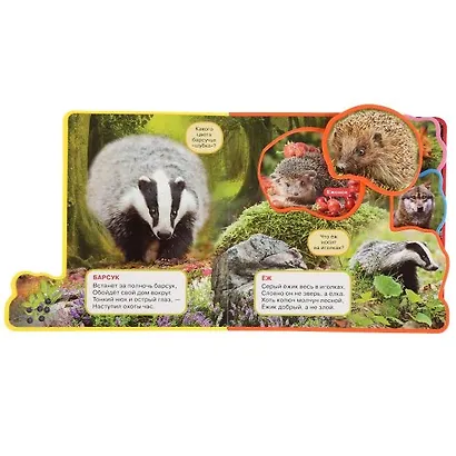 Лесные животные. Книжка с мягкими пазлами и заданиями - фото 3