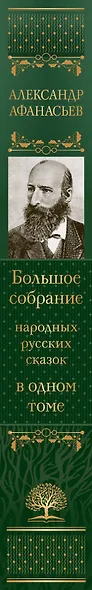 Большое собрание народных русских сказок в одном томе - фото 9