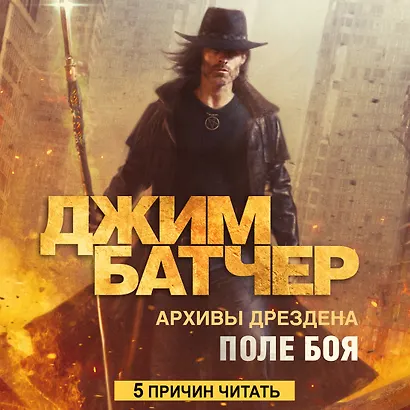 Архивы Дрездена. Поле боя - фото 5