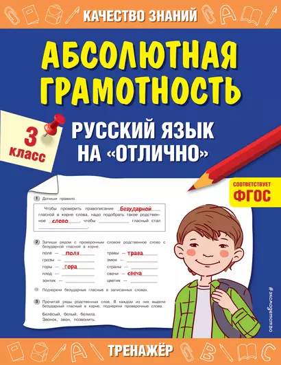 Абсолютная грамотность. Русский язык на «отлично». 3 класс - фото 1