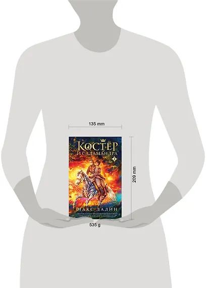 Костер и Саламандра. Книга 3 - фото 4
