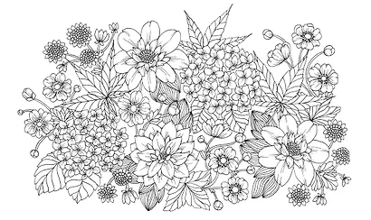 Сумеречный сад - фото 4