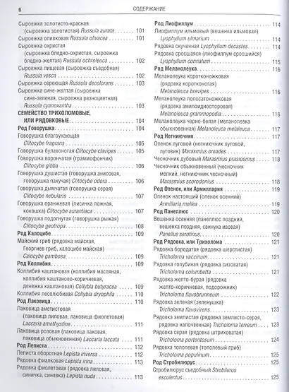 Грибы Полная илл. энциклопедия Более 400 видов грибов... (Куреннов) - фото 8