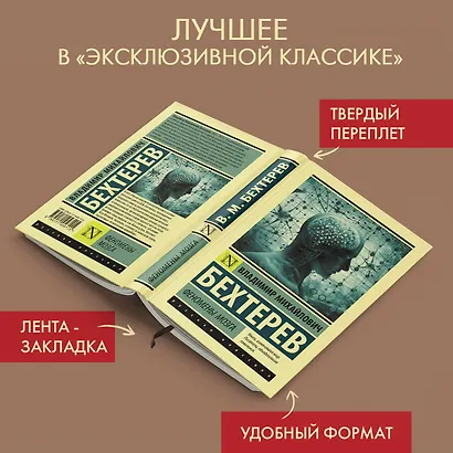 Феномены мозга - фото 3