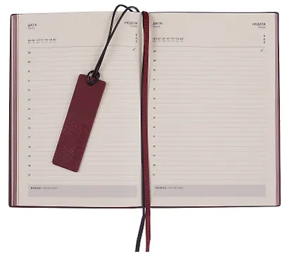 Ежедневник недат. А5 160л 146х211 мм "Шеврет" черный, иск.кожа, мягкий переплет, блинт.тиснение, офсет, закладка, 2 ляссе, инд.уп - фото 7