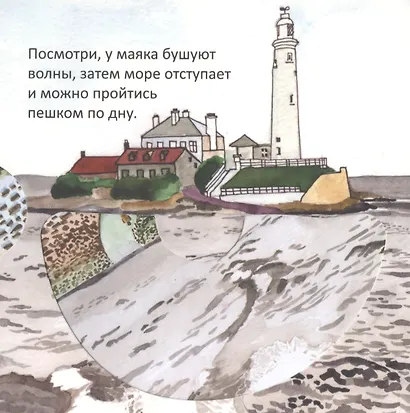 Планета чудес - фото 4