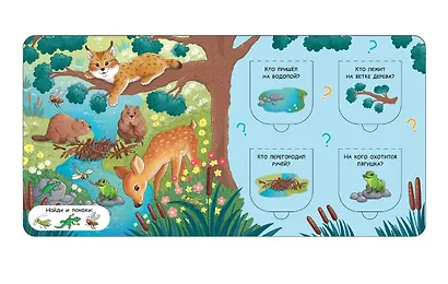 Открой окошки. В лесу - фото 4