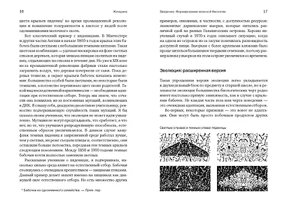 Женщина: эволюционный взгляд на то, как и почему появилась женская форма - фото 6