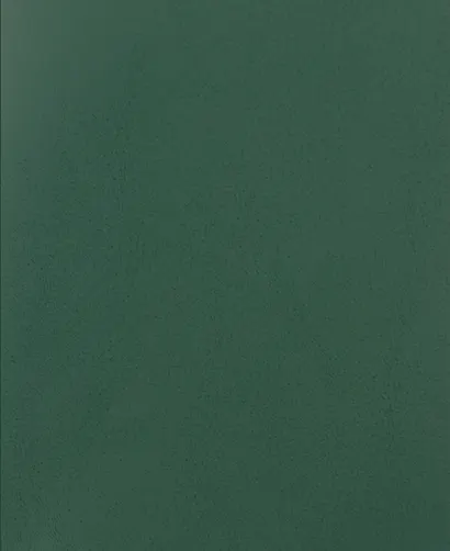 Тетрадь в клетку Listoff, "Зеленый бумвинил", 48 листов - фото 1