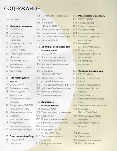 Эволюция за 30 секунд - фото 2