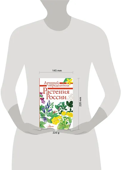 Растения России - фото 4