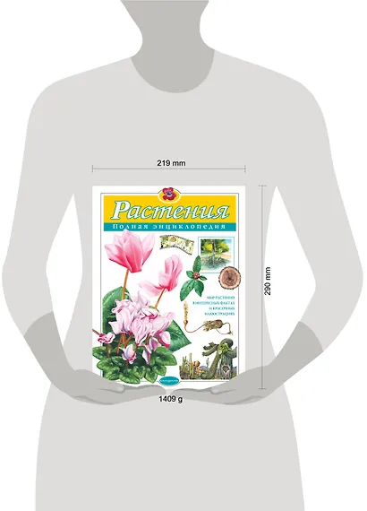 Растения. Полная энциклопедия: Мир растений в интересных фактах и красочных иллюстрациях - фото 7