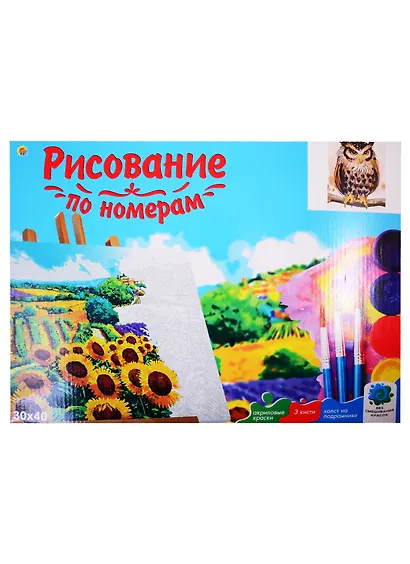 Набор д/творчества Рыжий кот Холст с красками 30х40см по номерам (в коробке) (19цв.) Задумчивая сова Х-2900 - фото 2