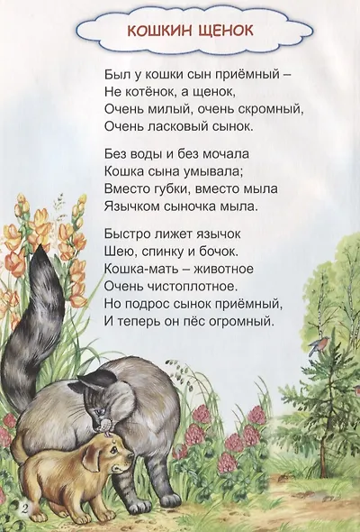 В магазине игрушек - фото 6