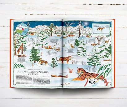 Большой атлас животных в картинках - фото 4