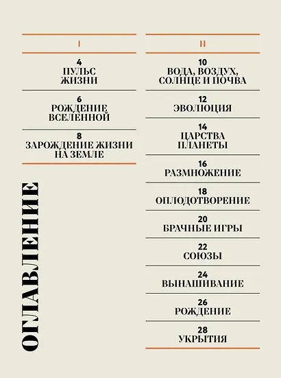 Чудесная книга жизни - фото 4