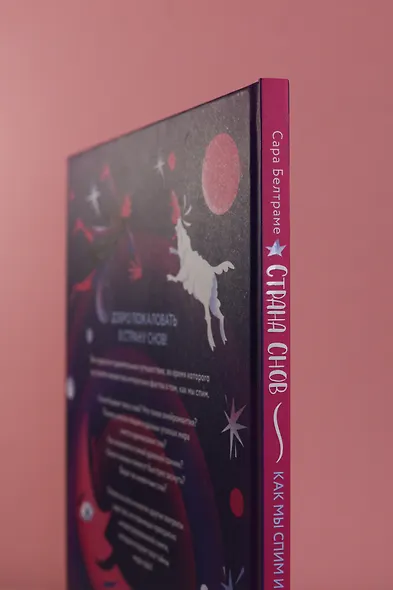 Страна снов. Как мы спим и что нам снится - фото 9