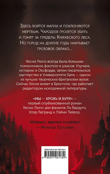 Мы - кровь и буря - фото 2