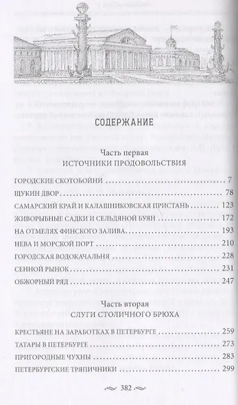 Брюхо Петербурга. Очерки столичной жизни - фото 2