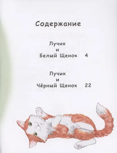 Как Лучик перестал драться - фото 3