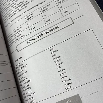 Полный курс латинского языка - фото 6