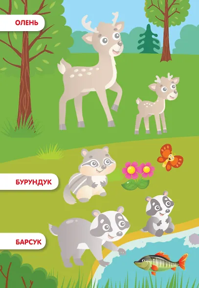 Лесные животные - фото 7
