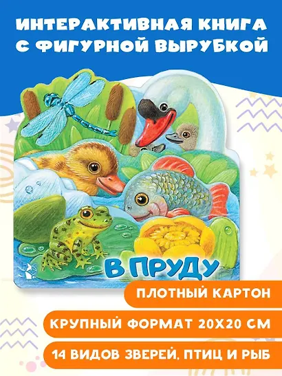 В пруду - фото 3