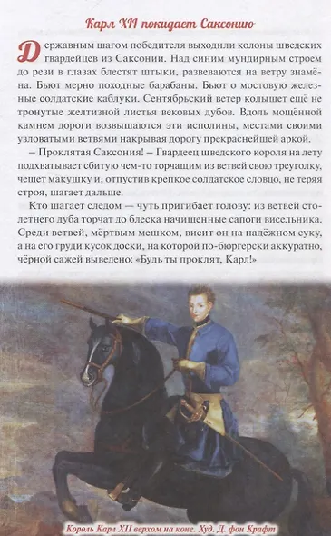 Северная война. От Головчина до Полтавы (1708-1709гг.) - фото 3