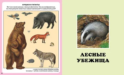 Жизнь леса - фото 8