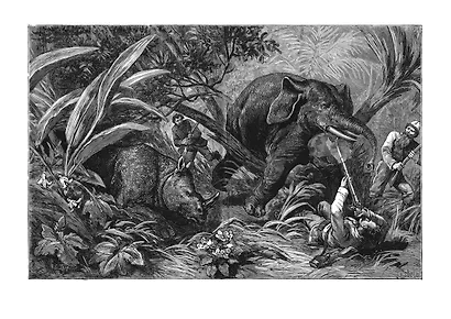 Похитители бриллиантов - фото 7