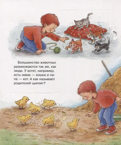 Что? Почему? Зачем? Малышу. Наш малыш (с волшебными окошками) - фото 2