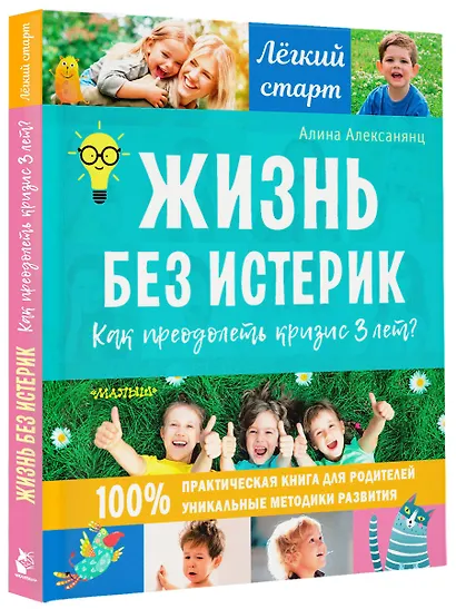 Жизнь без истерик. Как преодолеть кризис 3 лет? - фото 3