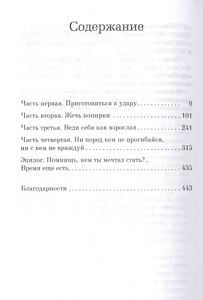 Бортпроводница - фото 3