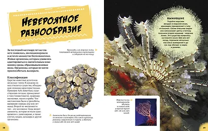 Эра динозавров. Жизнь в доисторические времена - фото 8