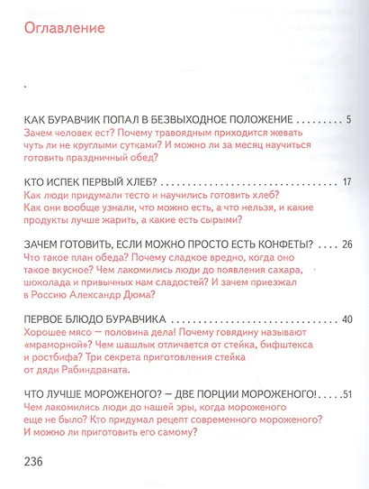 Буравчик готовит обед. Кулинарные истории. Как принять гостей и вкусно накормить их? - фото 2