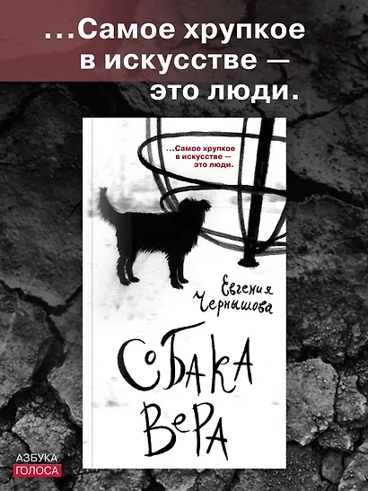 Собака Вера - фото 4