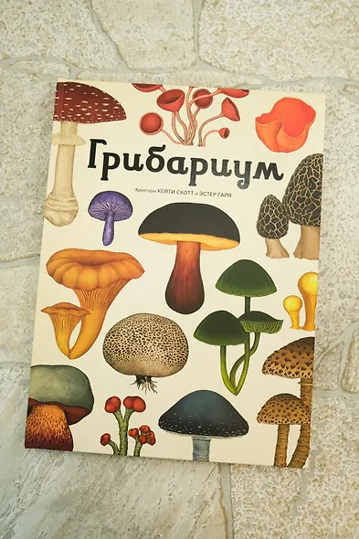 Грибариум - фото 6