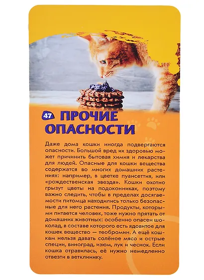 Кошки. Викторина на карточках - фото 3
