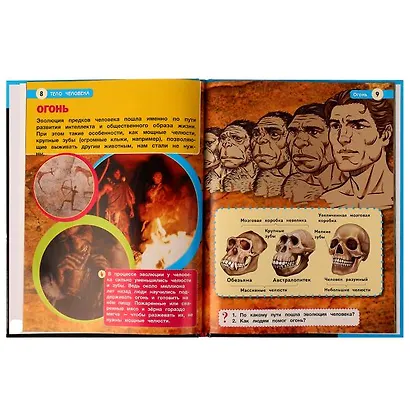 Тело человека - фото 3