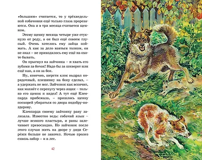 Рассказы о животных - фото 12