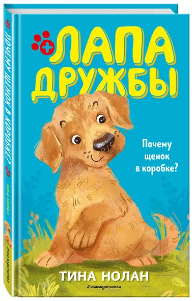 Почему щенок в коробке? (#1) - фото 3