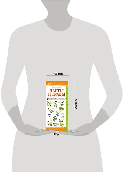 Цветы и травы. Мир удивительных растений. Наглядный карманный определитель - фото 4