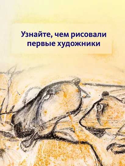 Первобытное искусство. Сокровища древних пещер - фото 7