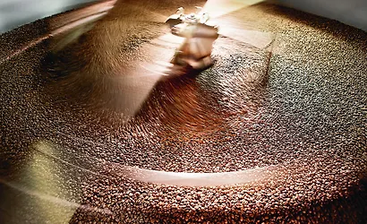 Философия кофе. От зерна до идеального напитка - фото 15