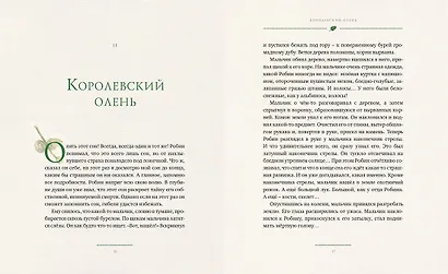 Робин Гуд - фото 6