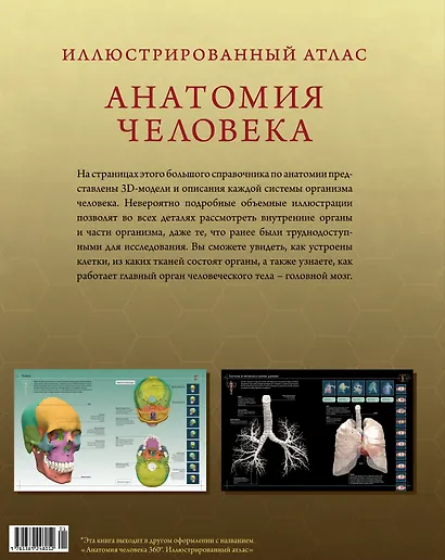 Иллюстрированный атлас. Анатомия человека - фото 2