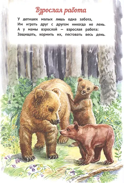 Мы - родные! - фото 3