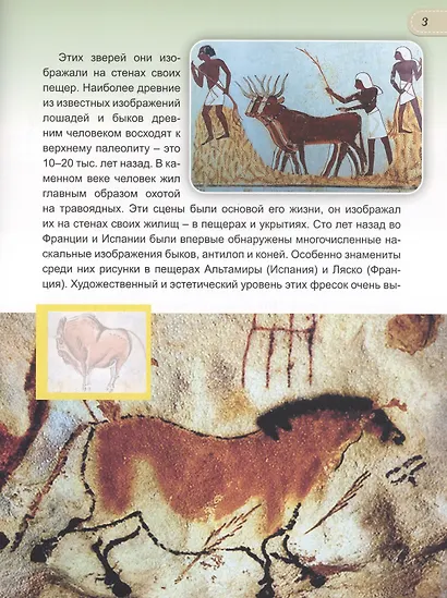 Животные от диких к домашним - фото 3