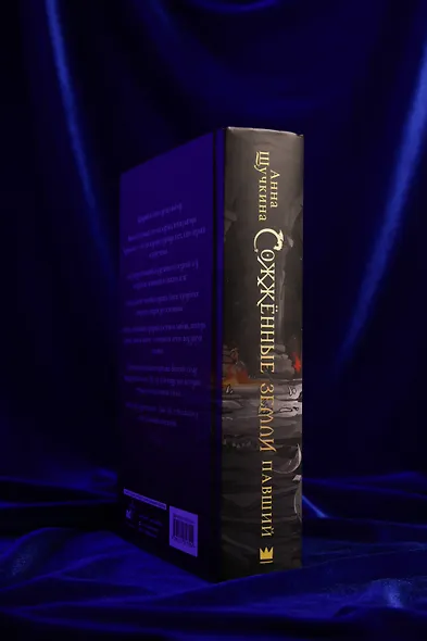 Сожженные земли. Павший - фото 8