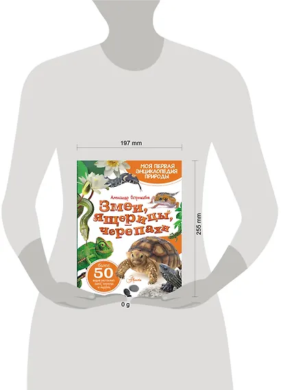 Змеи, ящерицы, черепахи - фото 4